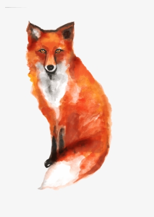 Red Fox