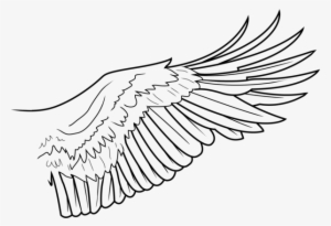 Simple Wing Lines By Freakzter - Eagle Wings Line Drawing