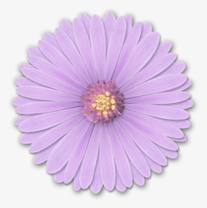 Res Light Purple - Light Purple Flower Png