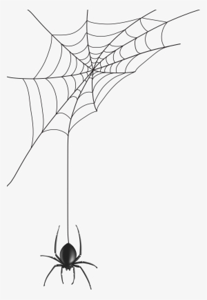 Free Spider Png Clip Art Image Gallery Yopriceville