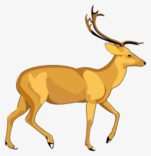 Deer Vector Png