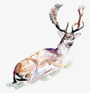 〈 雪冠。snowcrown - Transparent Deer