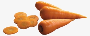 Carrot Png