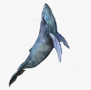 Visual Arts Watercolor Landscape Watercolor Painting - Whale Drawing