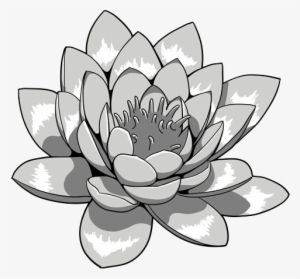 Lotus Flower Tattoos - Lotus Flower Tattoo Flash