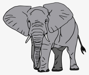Asian Elephant Clipart Zoo Animal - Elephant Cartoon White Background