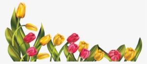 Border Jpg Transparent Library Huge Freebie - Tulip Png