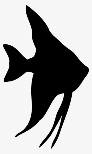 Tropical Fish Silhouette 9tzea4gqc - Angelfish Silhouette