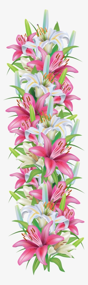 Pink And White Lilies Decoration Border Png Clipart - Lily Flower Border Png