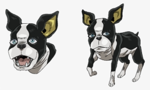 Iggy Anime - Ws01clj-06 [ジョジョの奇妙な冒険 Walkmanケース イギー]