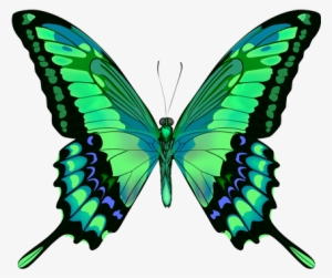 Green Butterfly Png - Blue Butterfly