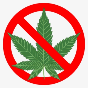 Motion To Dismiss Filed Challenging Patients' Rights - Reasons Not To Smoke Marijuana: The Complete