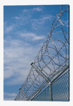Security Fence With Barbed Wire Canvas Print • Pixers® - Barbed Wire