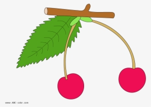 Черешня Малюнки Для Дітей