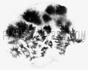 Watercolor Brush - Watercolor Painting