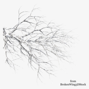 Svg Download Winter Tree By Brokenwing Dstock On Deviantart - Winter Tree Branch Png