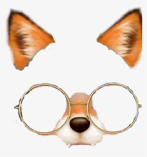 Fox Foxfilter Glasses Filter - Snow Filters Png