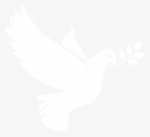 Estate And Succession Planning - White Dove Png Icon