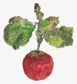 'i Guess I Don't Have A Set Way Of Connecting - White Feather