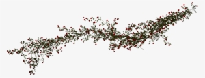 Rose Vines Png - Rose And Vine Png