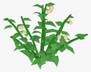 Poison Ivy Berry Bush - Lily Plant Png