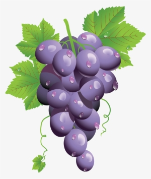 Png Grapes