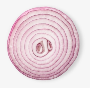 Onion Png Photo - Onion