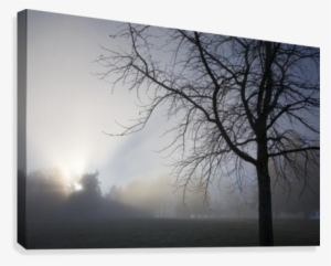 Sunrays Through Fog Canvas Print