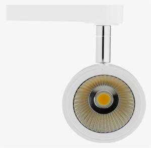 Led Ceiling Spotlights - Ceiling