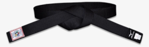 Mizuno Silver Ijf Approved Black Belt - Plastic