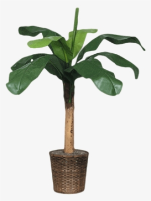 Silk Baby Banana Tree - Brook Furniture Rental