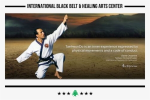 Homepage Image 7 - Tang Soo Do