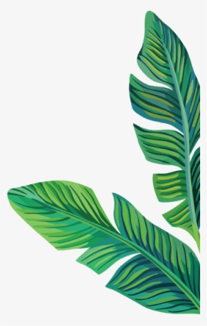 Careers - Myolab - Clipart Banana Leaves Png