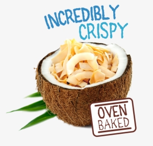 Coconutchips Original 40g Export