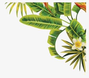 Visit - Transparent Tropical Leaves Png