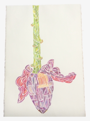 Watercolor Pencil Gouache On Paper