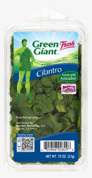 Splendour Seeds French Beans Vegetable Seeds