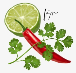 Sometimes Referred To As 'chinese Parsley' Or 'cilantro' - Leaves Png Coriander Leaf