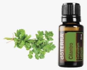 Doterra Tea Tree Uses