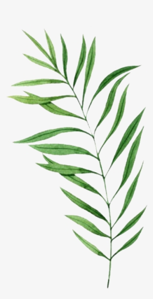 Leaf9 - Illustration