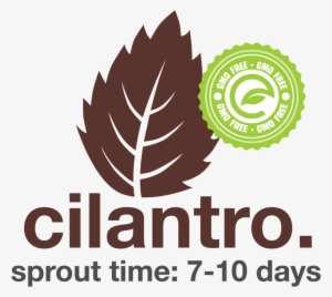 Cilantro - Tube Map Art