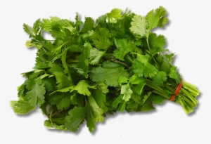 Recipes Provided By H&c Friendly Partners - Spinach Png