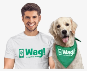 Wag Walker