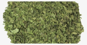 Leroy Merlin Jardin Vertical