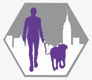 Our People - Dog Walking