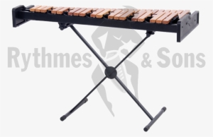 Rythmes & Sons Student Xylophone With Adjustable Stand3 - Martin Mac Quantum Profile Flightcase