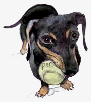 We Cross Over Into North Carolina, The Sun's A Few - Dog Catches Something