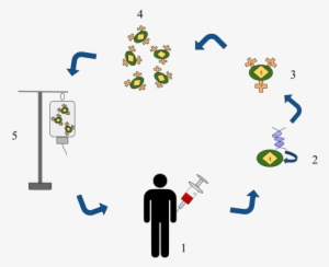 Living Medicines Accessing The Cancer Fighting Power - Cancer
