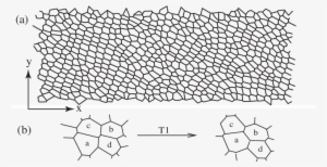 A) Snapshot Of A Simulated Foam With 16 × 48 Bubbles - Line Art