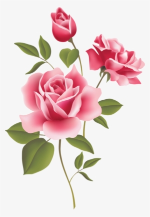 Pink Roses, A Wild Irish Rose Logo - Romantic Love Rose